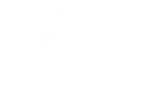 Coração cardiologista